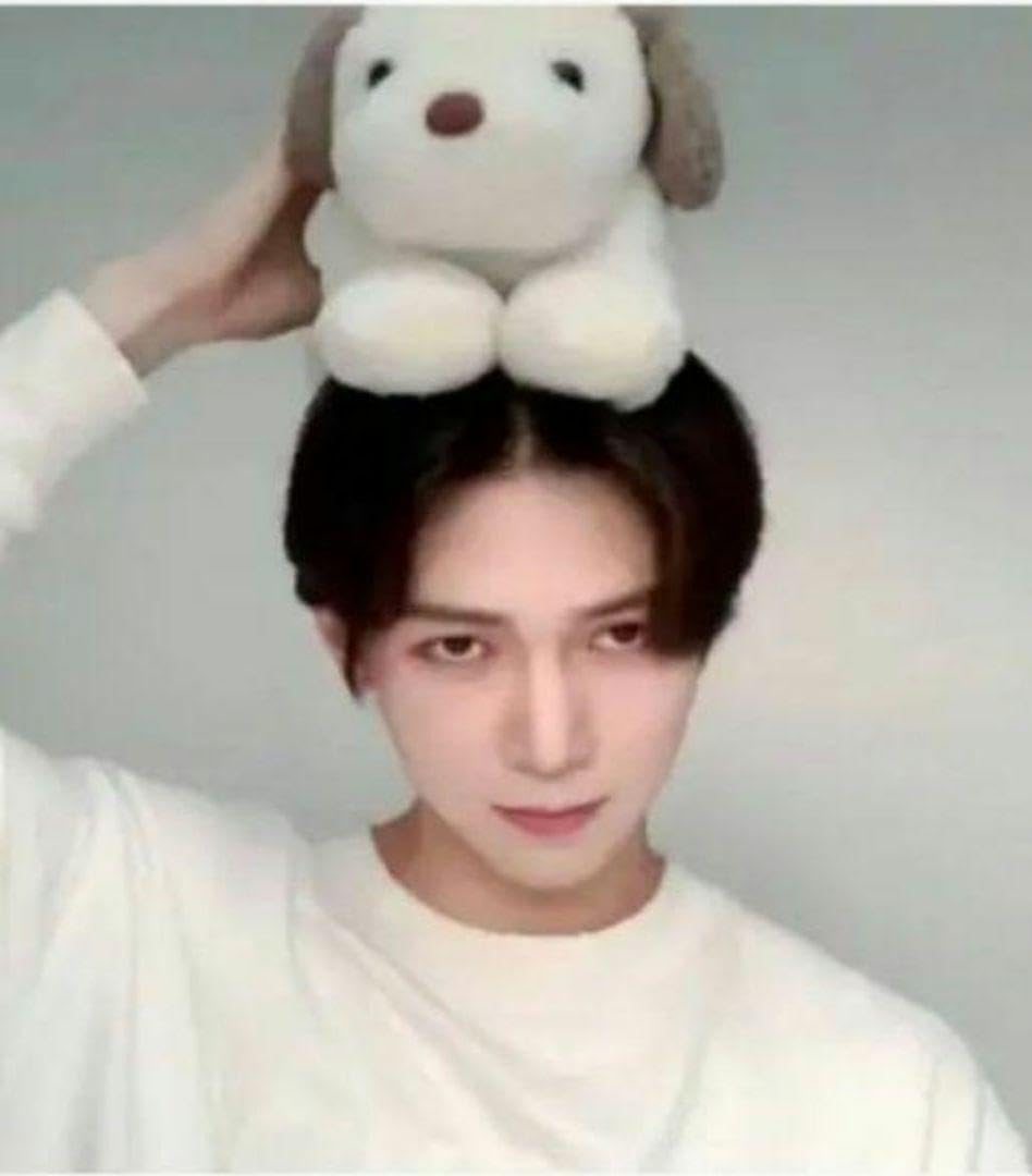 Amazon.co.jp: ATEEZ ヨサン 犬 ぬいぐるみ : おもちゃ